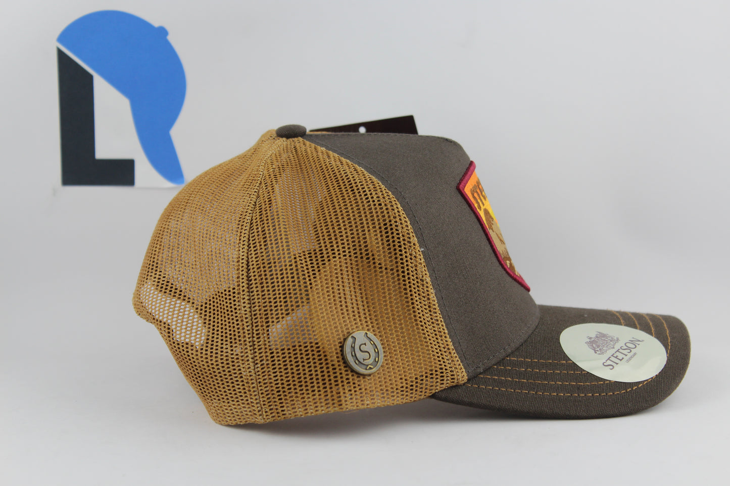 Stetson Montain