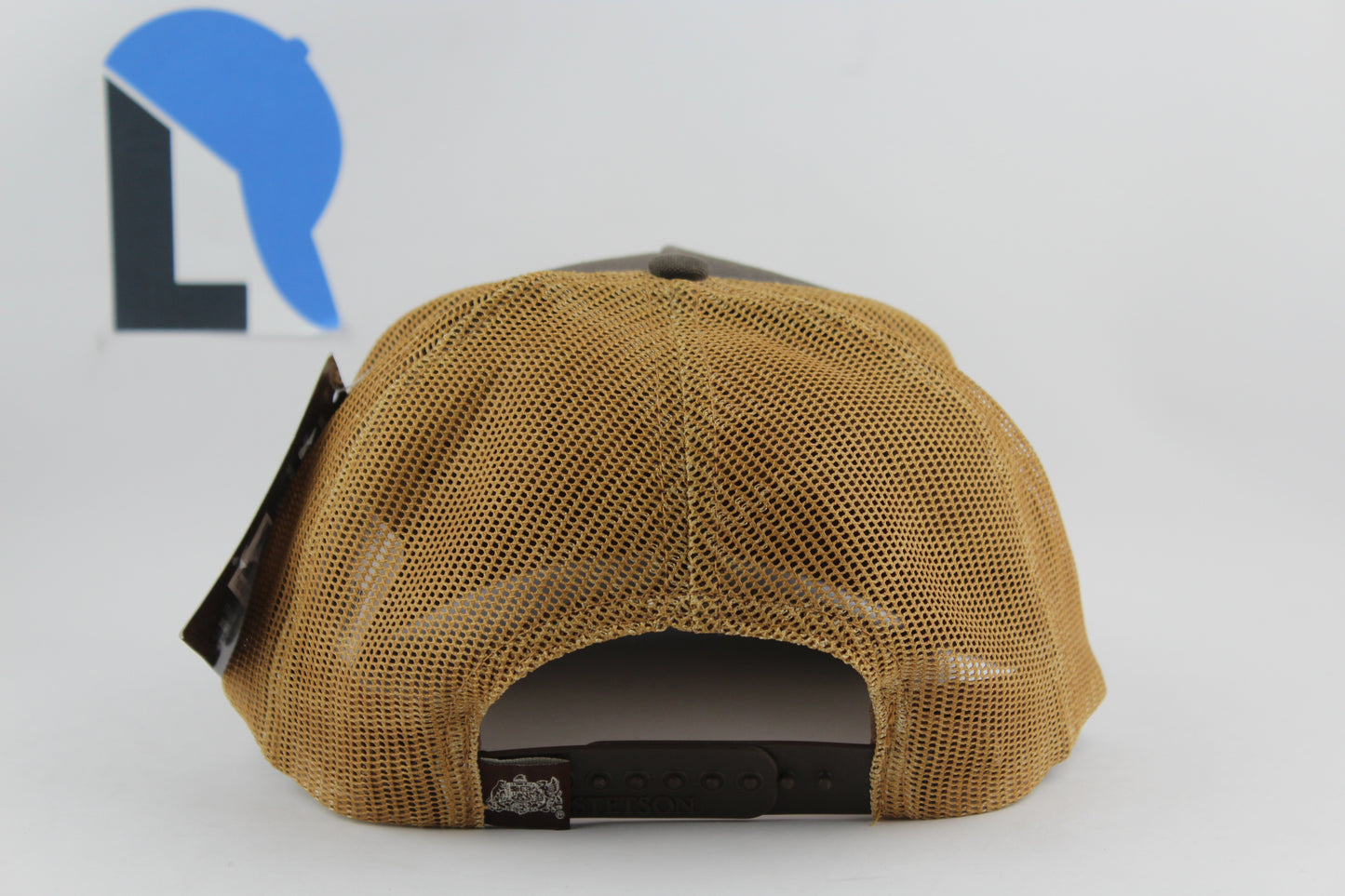 Stetson Montain