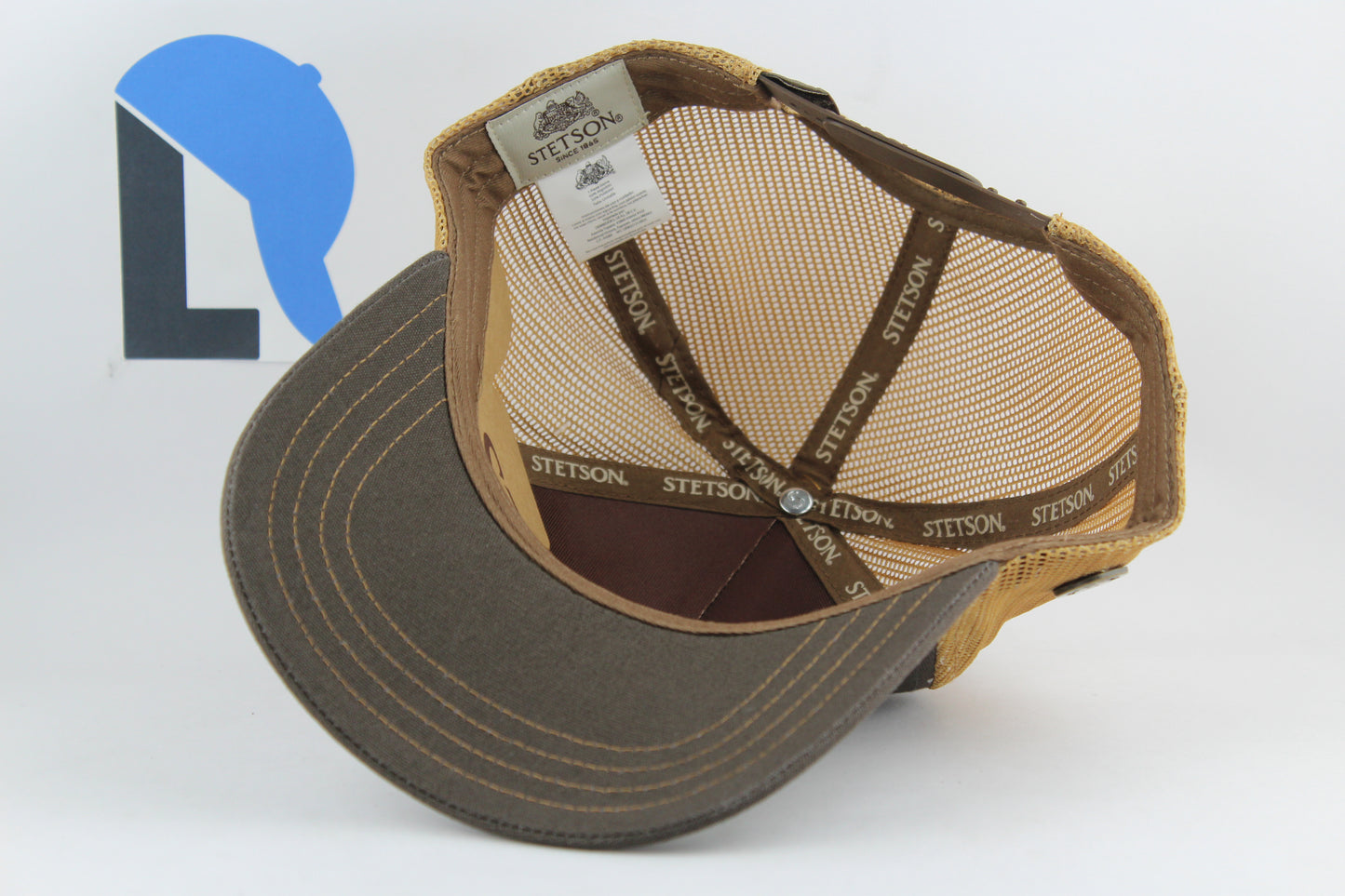 Stetson Montain